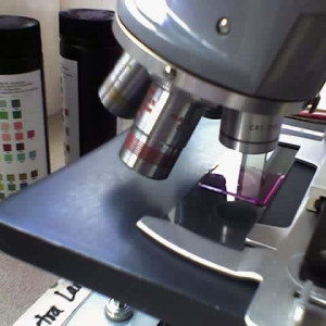 Laboratory Microscopes & Slides