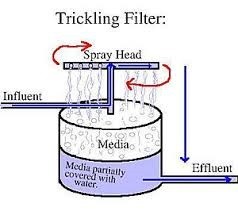 Trickling Filter